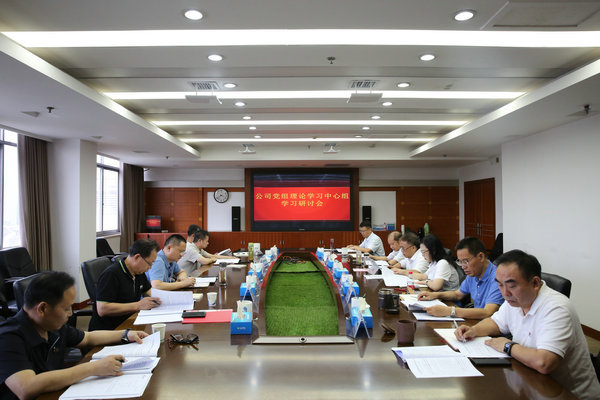 suncitygroup太阳集团公司党组理论学习中心组开展主题教育第四次集中学习研讨