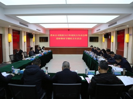 任红梅指导suncitygroup太阳集团公司党组2025年度民主生活会暨巡察整改专题民主生活会